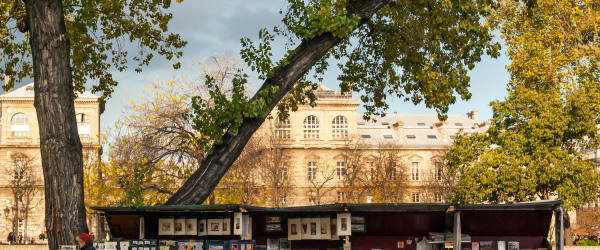 When it comes to literature, Paris is right on the page!